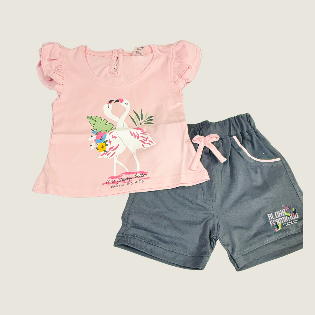Pink Flamingo Baby Girl Summer Set – Size S (3–6 Months)